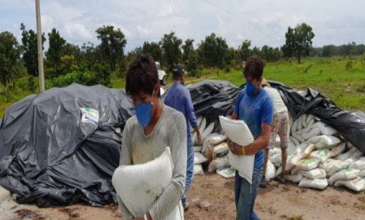 Funai apoia plantio mecanizado de arroz por indígenas na região Araguaia