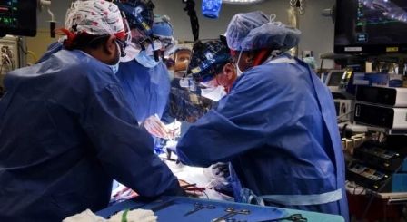 Médicos fazem primeiro transplante de coração de suíno em humano