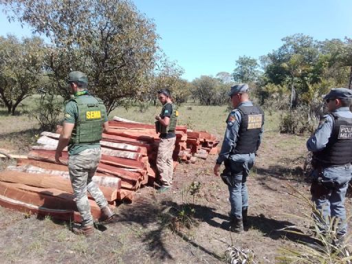 Polícia Militar e Sema apreendem 190 lascas de madeira ilegal em Luciara