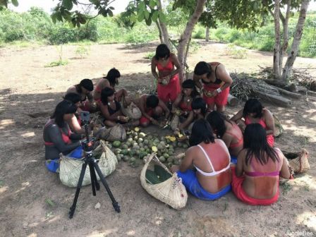 Filme mostra rotina de coletoras e técnicas milenares de restauração florestal no Xingu