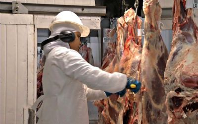 Preços da carne se recuperam e sinalizam mais melhorias no pós-carnaval, diz analista