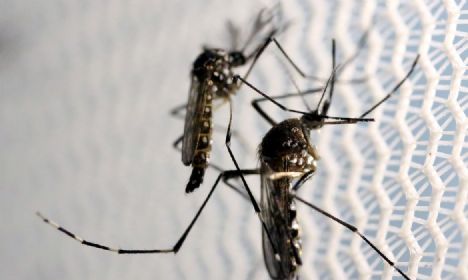 Casos assintomáticos de dengue preocupam especialistas